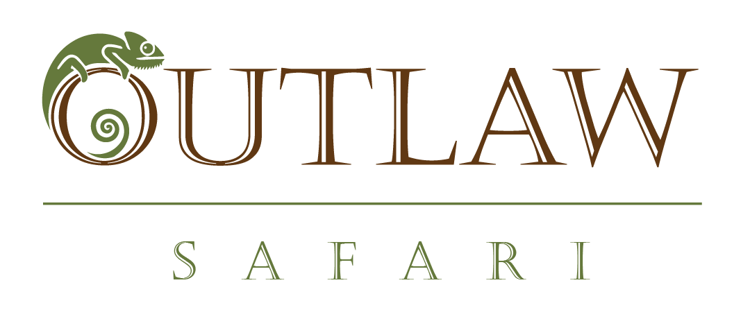 Outlaw Safari logo main_2024 color