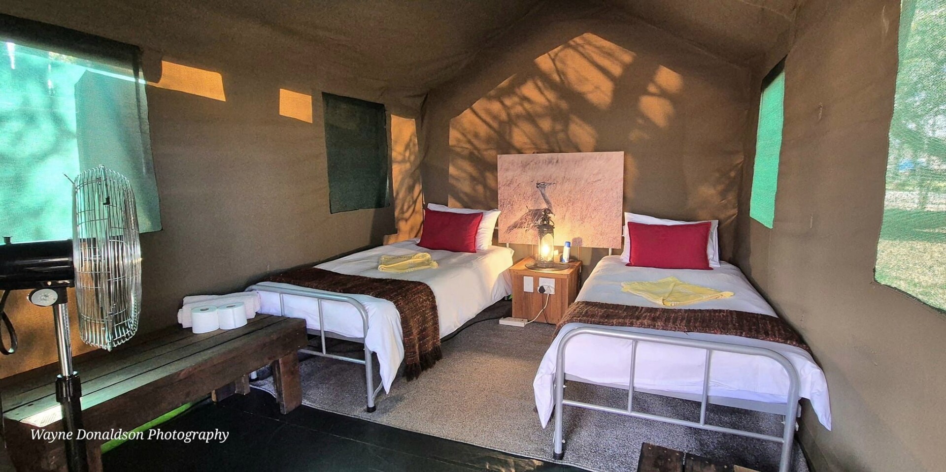 Wayne interior