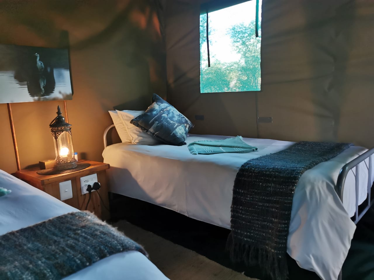 tent becky phone int